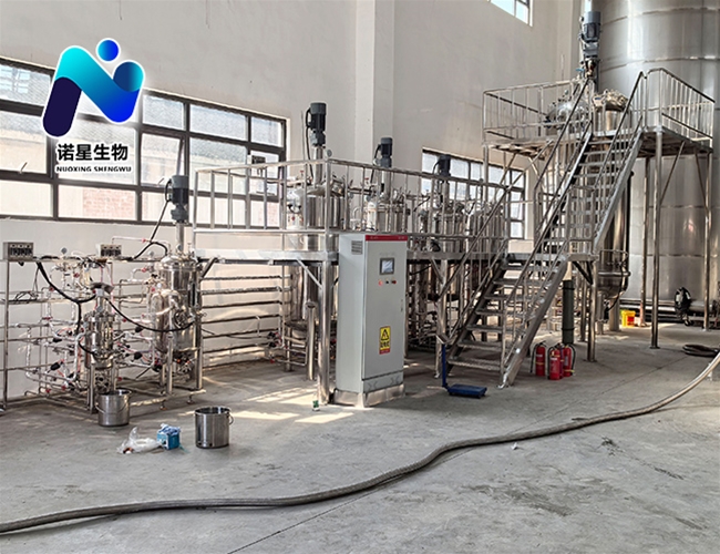 10L-100L-1000L-10立方四級(jí)微生物發(fā)酵罐